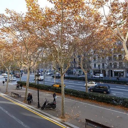 Alcam Classic Barcelona