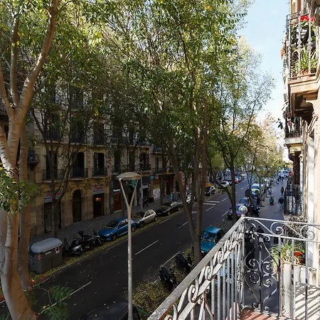 Alcam Classic Barcelona
